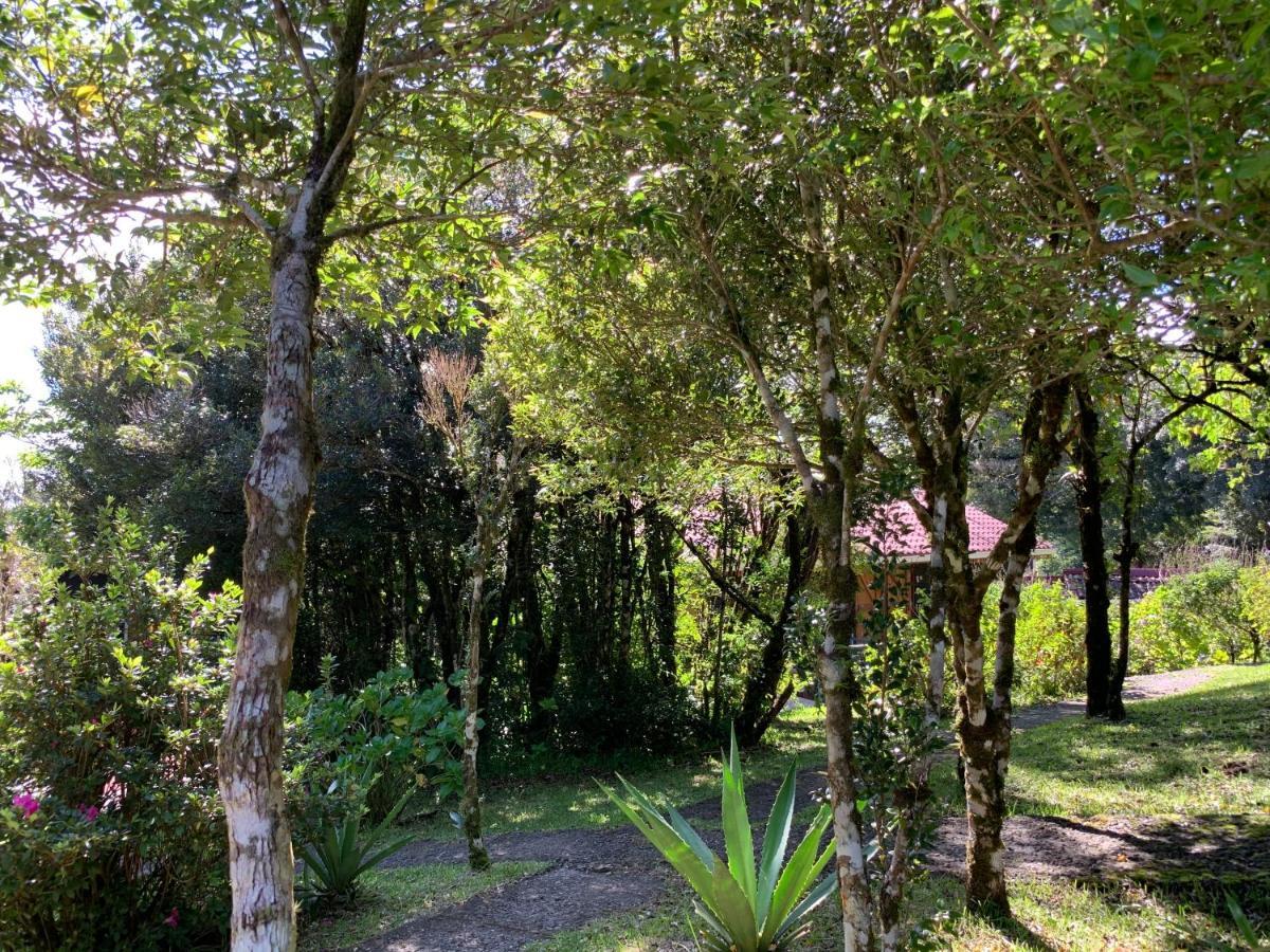 Rancho Makena Bed & Breakfast Monteverde Exterior photo